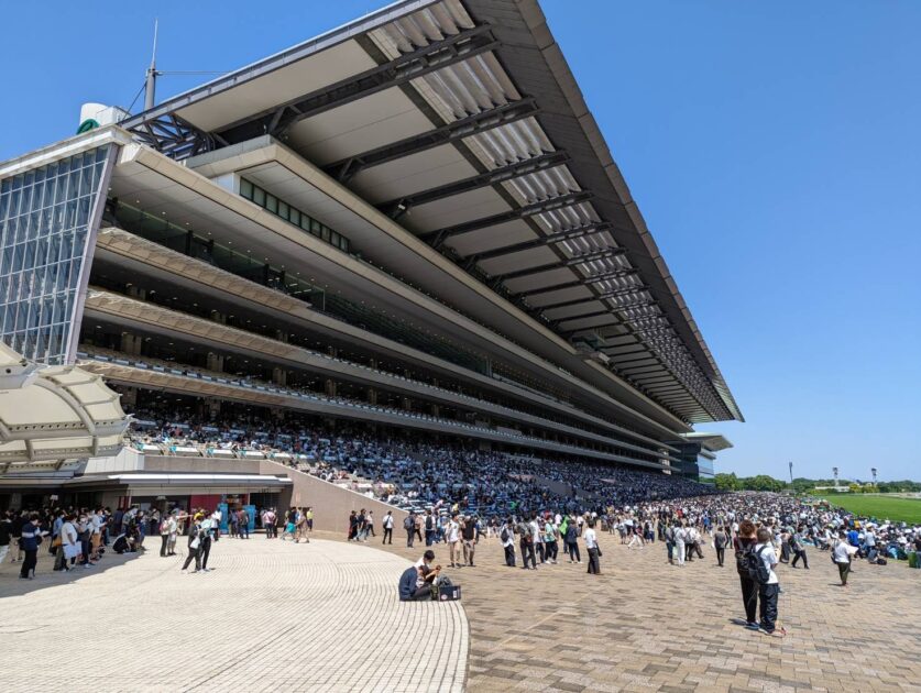 東京競馬場